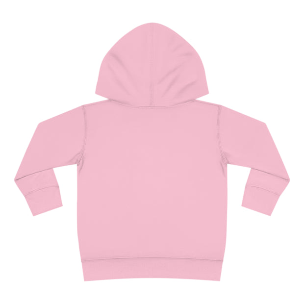 Clows WITH PASSION Toddler Pullover Fleece Hoodie