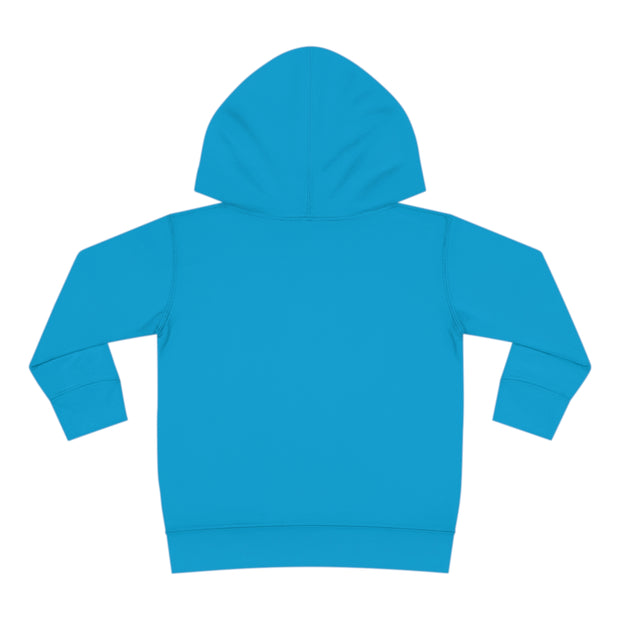 Clows Chasing The Sunset Toddler Pullover Fleece Hoodie