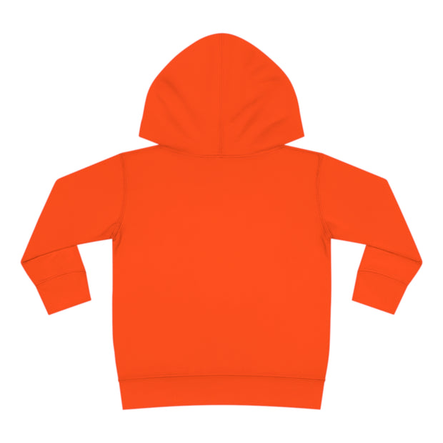 Clows Chasing The Sunset Toddler Pullover Fleece Hoodie